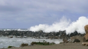 PICTURES/Morro Bay - Otters & Surf/t_Waves Breaking1.jpg